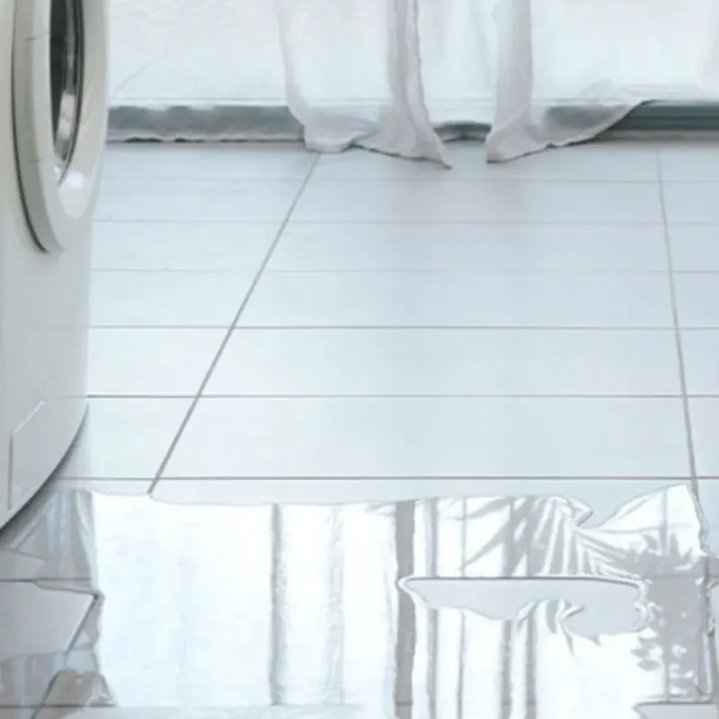 Appliance Leak Cleanup in Brookfield, IL