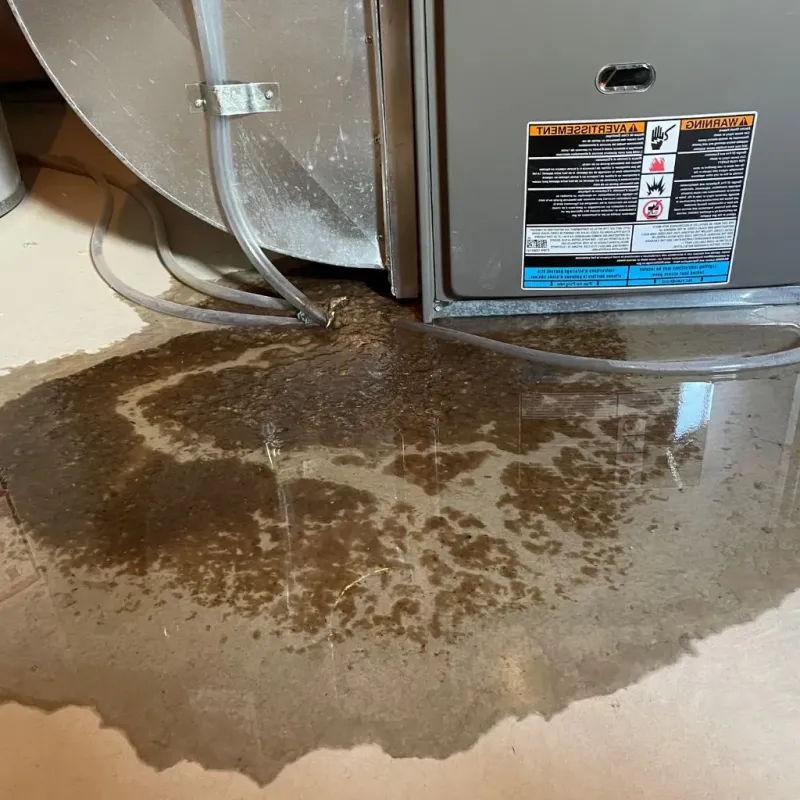 Pipe Burst and Leak Restoration in Brookfield, IL